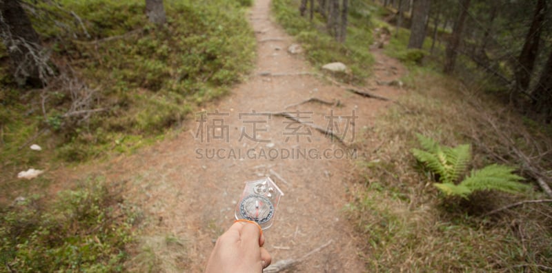 位置,罗盘,森林,地理寻宝,岔路口,副驾驶,十字路口,全球定位系统,水平画幅,旅行者