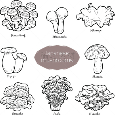 日本,食用菌,蔬菜,食品,金针菇,植物,舞茸蘑菇,真菌,夏天,绘画插图