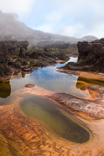 罗赖马山,罗赖马州,平顶山区,平顶山,canaima,委内瑞拉,垂直画幅,南美,无人,户外
