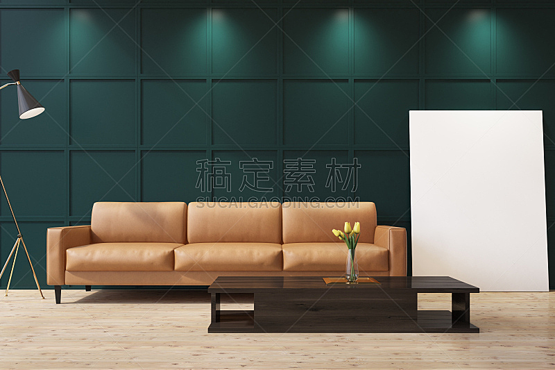 沙发,起居室,特写,绿色,米色,房地产公司,复式楼,边框,水平画幅,墙