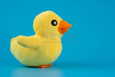 黄色,鸭子,华贵,可爱的,泰迪熊,背景分离,纺织品,玩具,泰国