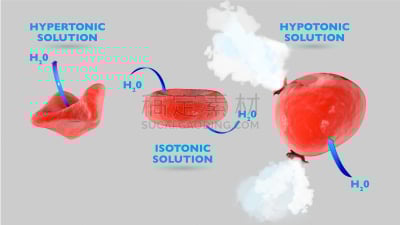 低渗溶液,细胞,高压溶液,寄生的,肿胀的,平衡,液体,意大利,科学,水平画幅