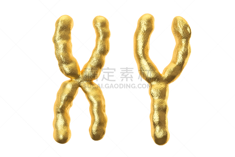 染色体,三维图形,分离着色,打叉,白色背景,日元符号,脱氧核糖核酸,纳米技术,生物化学,生物医学插图