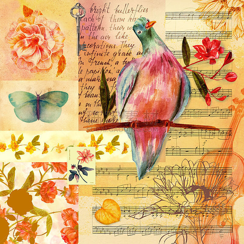 仅一朵花,鸟类,蝴蝶,乐谱,抽象拼贴画,玫瑰,纹理效果,水彩画颜料,信函,床单