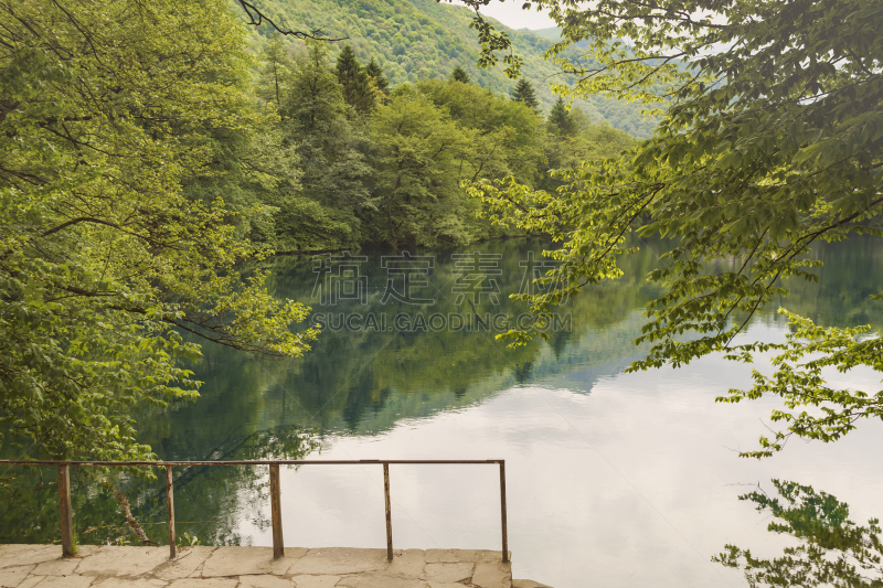 北高加索,蓝湖,风景,黑颈长脚鹬,水,水平画幅,无人,户外,草,俄罗斯