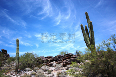 南山公园,菲尼克斯市,亚利桑那,萨挂诺仙人掌,天空,水平画幅,沙子,无人,偏远的,户外
