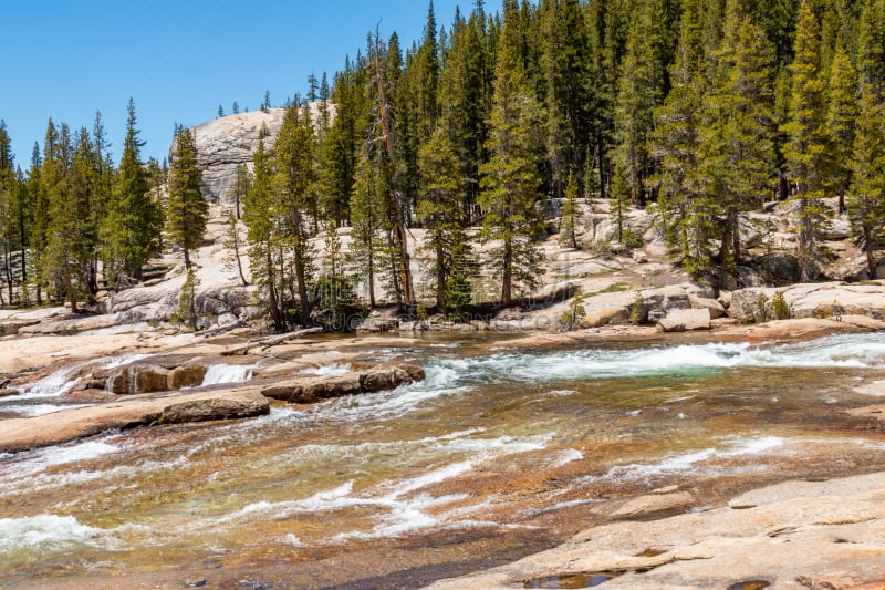 春天,tuolumne meadows,环境,加利福尼亚,自然美,加利福尼亚内华达山脉,流水,河流,夏天,户外