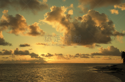 岛,海洋,云景,在上面,天空,南太平洋,曙暮光,扇形棕榈,夏天,异国情调