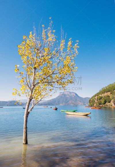 泸沽湖,云南省,中国,风景,丽江,自然,垂直画幅,水,天空,地形