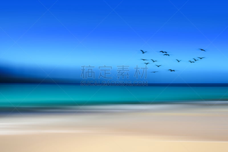 图像特效,运动模糊,长时间曝光,海鸥,海景,自然,抽象,鸟编队飞行,萨马纳半岛,纹理效果