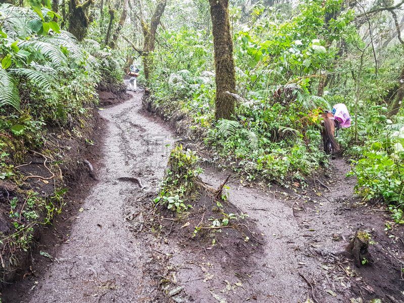 徒步旅行,火山,小路,危地马拉,自然,水平画幅,山,蓝色,夏天,户外