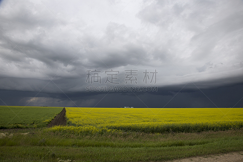 乌云,萨斯喀彻温省,自然,暴风雨,水平画幅,无人,草原,夏天,户外,雷雨