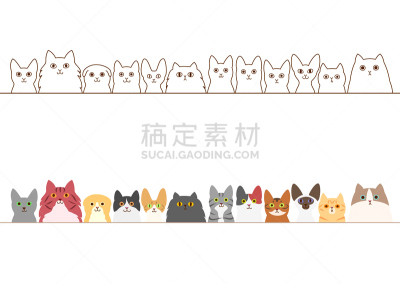 猫,国境线,可爱的,动物主题,纯种犬,线条,多样,边框,阿比西尼亚猫