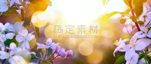 五月 五月图片 五月素材下载 稿定素材 五月 五月图片 五月素材下载 稿定素材