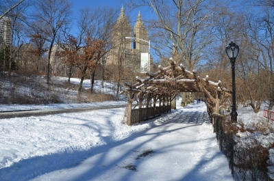 纽约,冬天,中央公园,国际著名景点,圣诞装饰物,环境,滑冰,雪,公园,大风雪