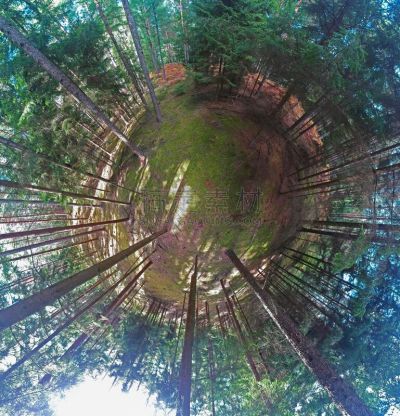 球体,暗色,秋天,风景,森林,开端,航拍视角,秘密,怪异,波兰
