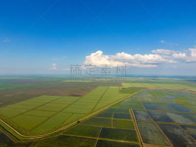 水,稻田,田地,水灾,稻,公亩,栽培植物,水平画幅,易接近性,无人