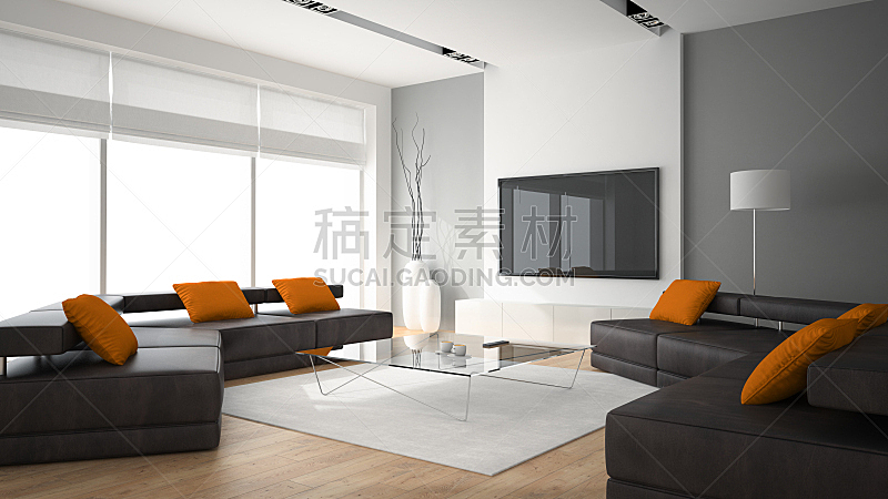 沙发,现代,室内,枕头,两个物体,三维图形,窗帘,扶手椅,舒服,地板