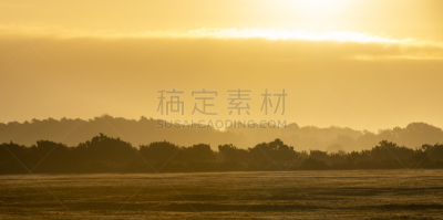 新森林,林霍斯特,橙色,英国,英格兰,户外,汉普郡,自然,风景,全景