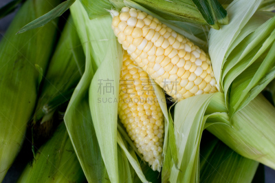 玉米,去皮的,部分,老玉米,水平画幅,堆,高视角,绿色,甜玉米,无人