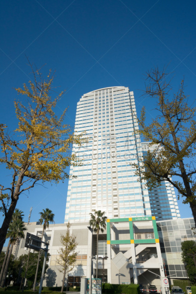 商务,居住区,垂直画幅,办公室,天空,城镇景观,无人,都市风景,商业金融和工业