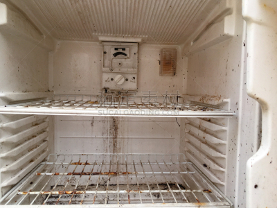 冰箱,垃圾,铁,被抛弃的,冰柜,塑胶,环境,食品,泰国,环境保护