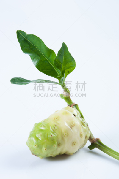 诺丽果,叶子,自然,垂直画幅,留白,绿色,无人,膳食,健康保健,熟的