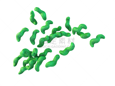 弯曲杆菌属,扫描显微镜,膜,水平画幅,微生物学,绘画插图,抽象,科学,生物学,细菌