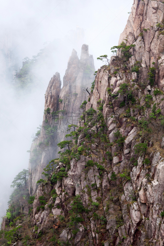 中国,黄山,黄山山脉,安徽省,垂直画幅,天空,美,无人,早晨,户外