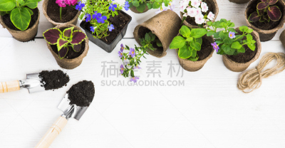园艺器具,水平画幅,家庭生活,早晨,夏天,户外,园艺师,耙子,植物,铲子