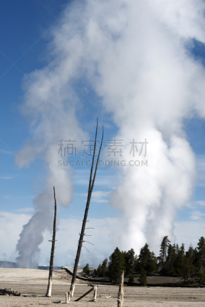 间歇泉,黄石公园,大泉间歇泉,下喷泉盆地,thermal park,自然,垂直画幅,美国西部,美国,旅游目的地