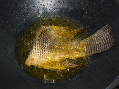锅,食用油,热,鱼类,植物群,水平画幅,传统,膳食,特写,泰国