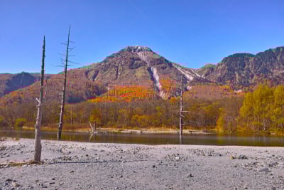 山,秋天,大正池,梓川,日本落叶松,飞驒山脉,日本阿尔卑斯山脉,落叶松,水,里山