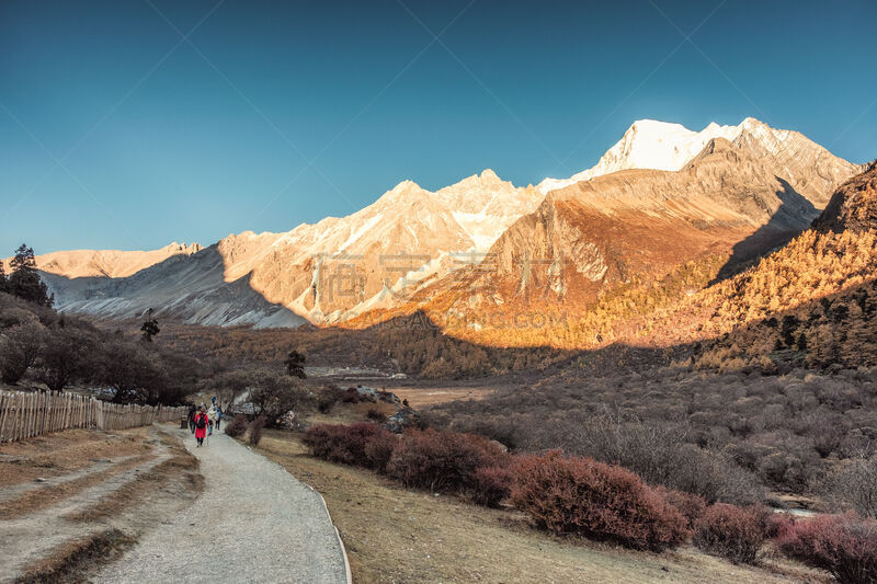 秋天,森林,山脉,徒步旅行,小路,国内著名景点,旅途,野生动物,松木,香格里拉县