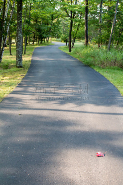 沥青,小路,威斯康星,绿色,自然,垂直画幅,美国,非都市风光,无人,路
