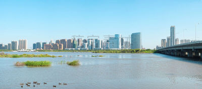 哈尔滨,松花江,水,运河,早晨,野外动物,沼泽,都市风景,现代,河岸