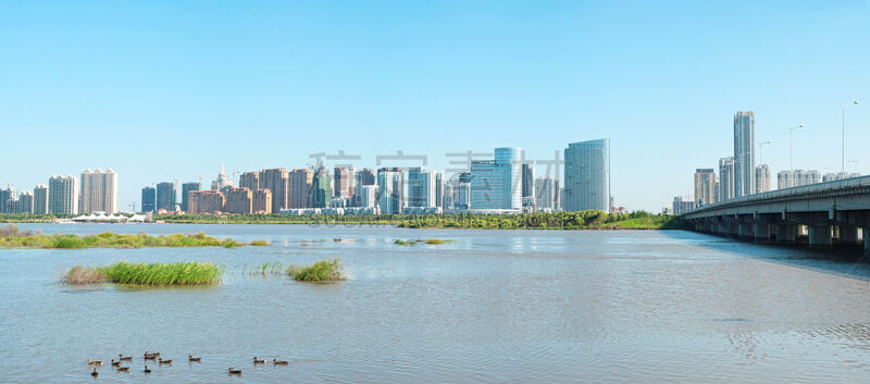 哈尔滨,松花江,水,运河,早晨,野外动物,沼泽,都市风景,现代,河岸