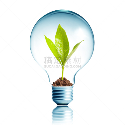电灯泡,植物,里面,绿色,钨的视觉图,能源,无人,玻璃,灯,电源