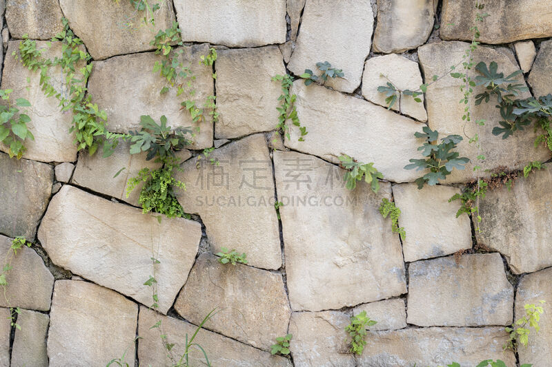 石墙,纹理效果,植物,背景,墙面涂料,峭壁,崎岖不平,城墙,家居开发,围墙