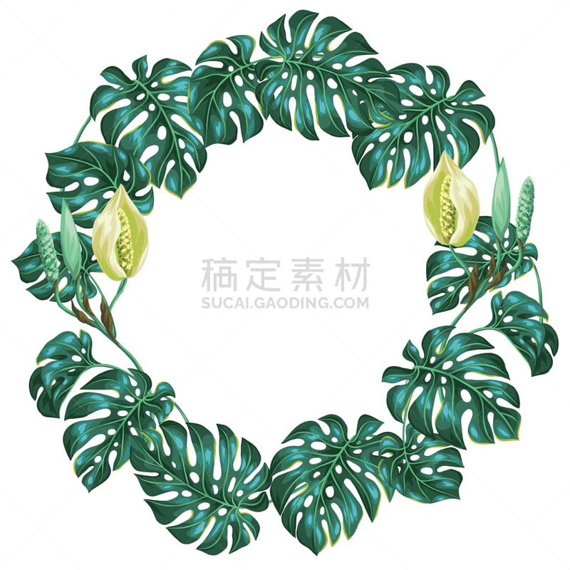 干酪藤,华丽的,边框,叶子,图像,鸡尾酒,叶脉,请柬,贺卡,计划书