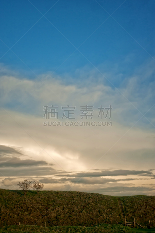 白马,地形,看风景,韦斯特伯里,垂直画幅,山,无人,早晨,户外,草