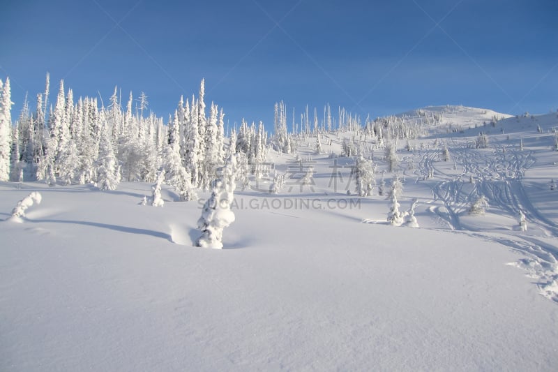 山脉,布伽布冰河省立公园,珀塞尔山脉,深的,寒冷,直升机,雪山,雪,加拿大,深雪