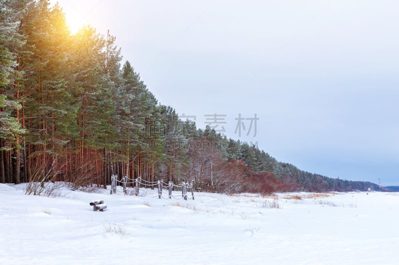 雪,冬天,森林,海湾,松树,旅途,一月,东维鲁县,环境,霜