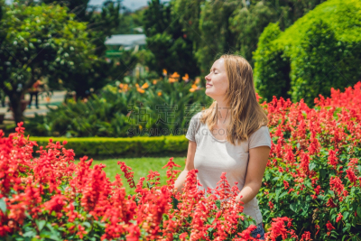 红色,背景,鼠尾草,菜园,青年女人,美,复活节,水平画幅,无人,园艺