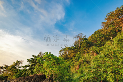 山脉,热带树,多样,昌岛,夏令时,热带灌木,天空,枝繁叶茂,旅行者,覆盖
