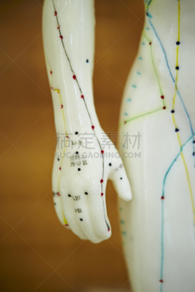 针灸模型,指压,针灸,锐角,人造模特,垂直画幅,人体,健康保健,健康,药