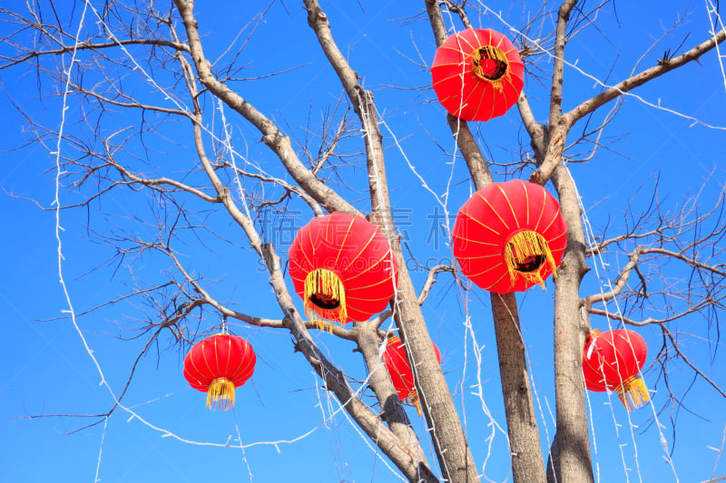 中国灯笼,晚会,灯罩,传统舞,雕刻物,中国元宵节,纸灯笼,悬挂的,园艺展览,灯笼