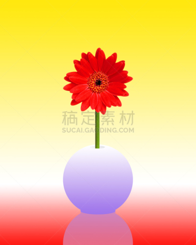 非洲雏菊,垂直画幅,合成图像,美,绿色,橙色,可爱的,图像处理,花,做