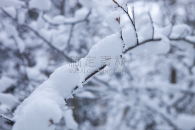 冬天,加拿大,天空,水平画幅,雪,无人,户外,雪燕,戏剧性的天空,北美