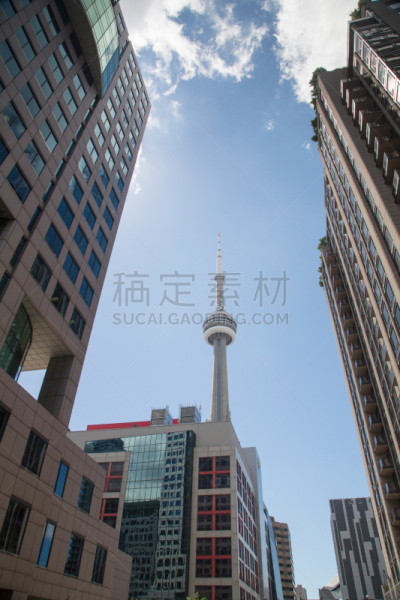 多伦多,加拿大,市区,国际著名景点,商务,城市生活,林荫路,著名景点,枫叶,商业金融和工业